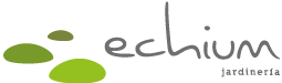 ECHIUM - Rebranding y Construcción de marca - G13 Estudio Creativo