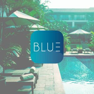 BLUE APP - Realización de Brandbook y Construcción de Marca - G13 Estudio Creativo