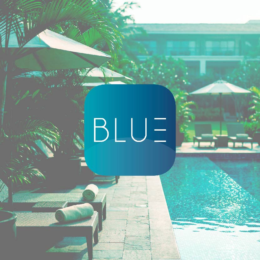 BLUE APP - Realización de Brandbook y Construcción de Marca - G13 Estudio Creativo