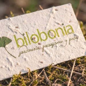 BILOBONIA - Realización de Brandbook y Construcción de Marca - G13 Estudio Creativo