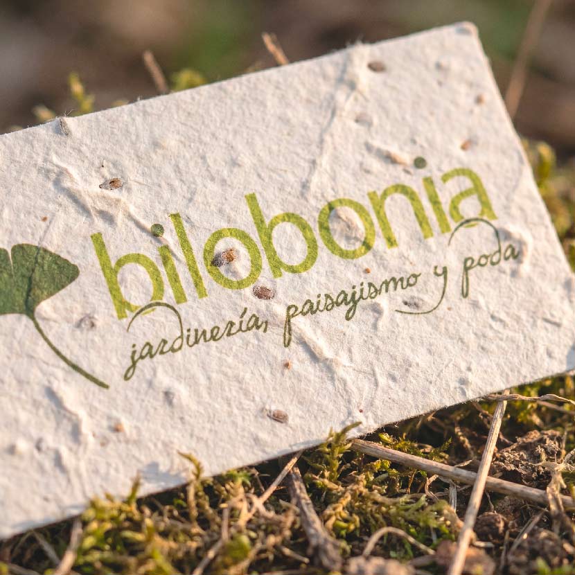 BILOBONIA - Realización de Brandbook y Construcción de Marca - G13 Estudio Creativo