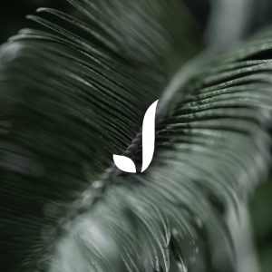 JARDÍN TROPICAL - Realización de Brandbook - G13 Estudio Creativo