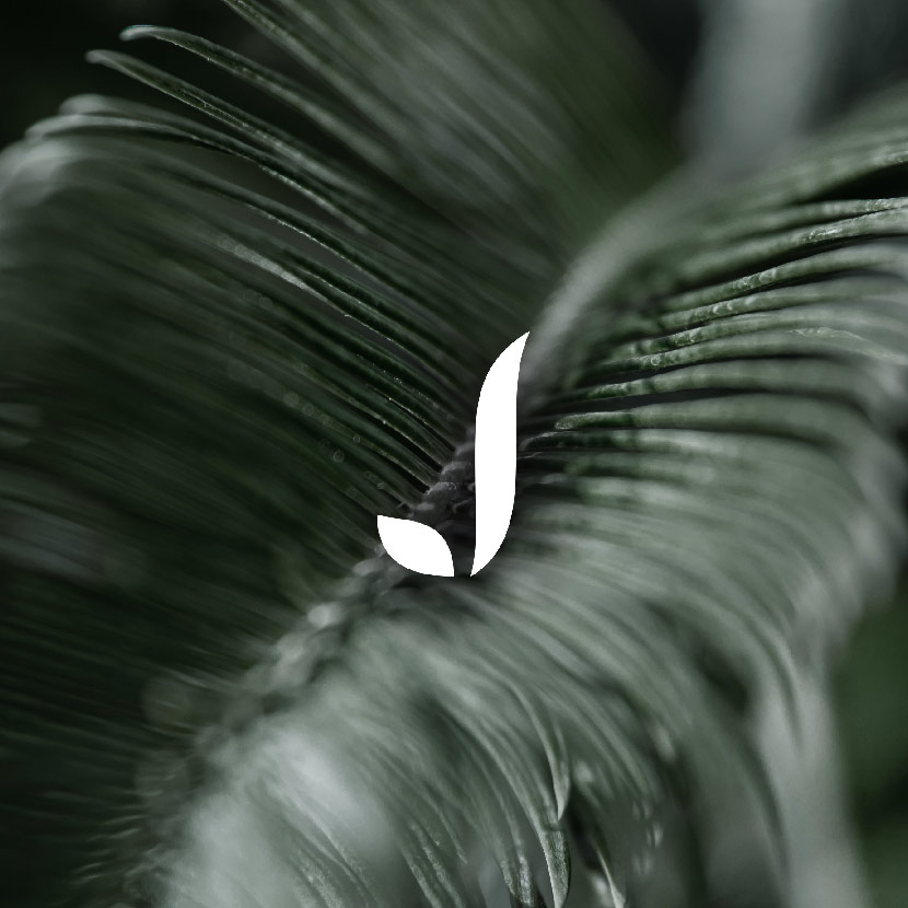 JARDÍN TROPICAL - Realización de Brandbook - G13 Estudio Creativo