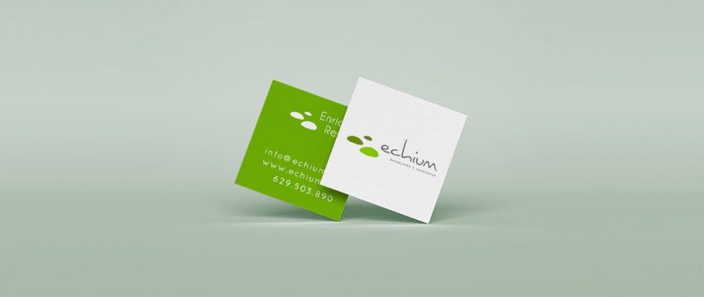 ECHIUM - Papelería Corporativa - G13 Estudio Creativo