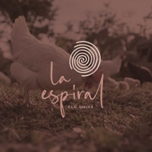 LA ESPIRAL ECO LIVING - Realización de Brandbook y Construcción de Marca - G13 Estudio Creativo