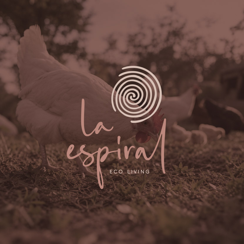 LA ESPIRAL ECO LIVING - Realización de Brandbook y Construcción de Marca - G13 Estudio Creativo