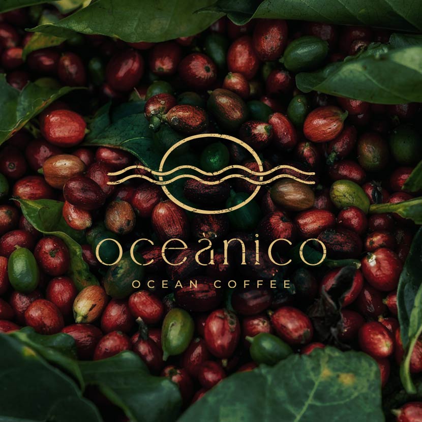 OCEÁNICO CAFÉ - Identidad Corporativa y Construcción de Marca - G13 Estudio Creativo